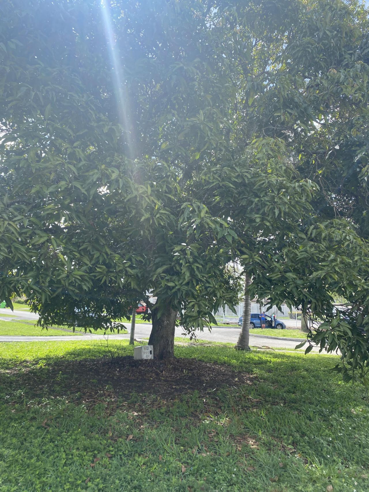 6701 NW 24th Court, Sunrise, FL 33313 Photo