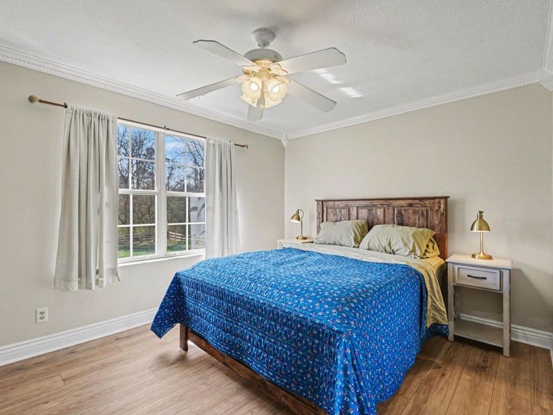 9668 Licking Pike, Alexandria, KY 41001 Photo 16