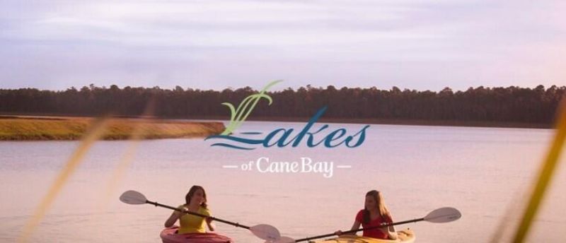 732 Maynard Lane Photo 66