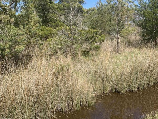 505 Shell Hill Road , Sea Level, NC 28577