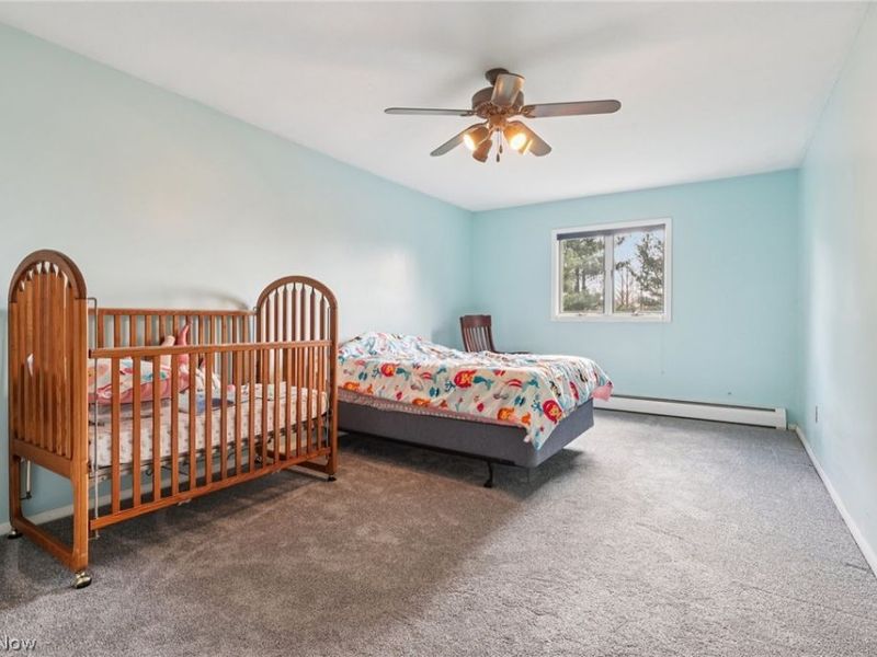 10700 W Ridge Road, Carlisle, OH 44035 Photo 23