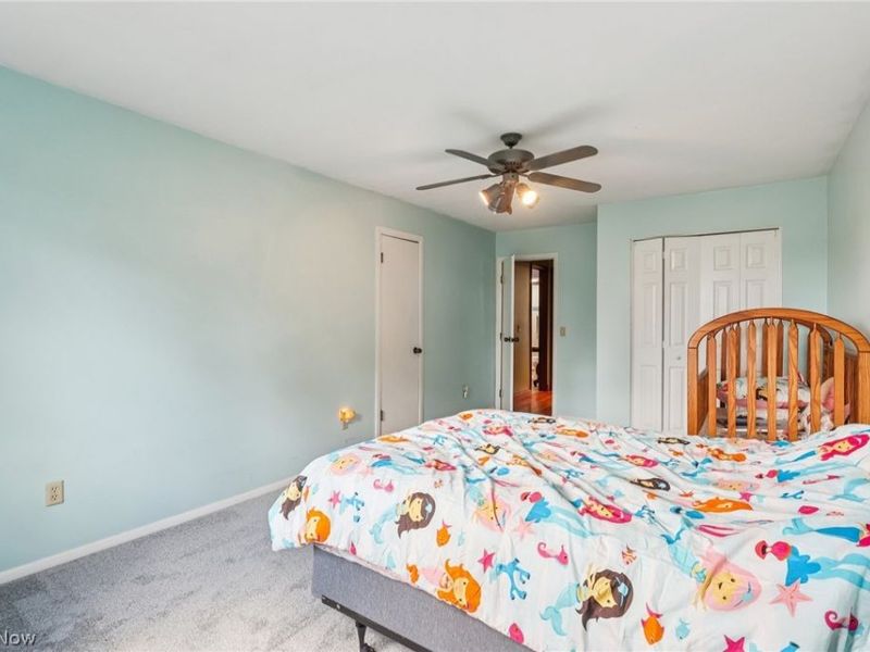 10700 W Ridge Road, Carlisle, OH 44035 Photo 25