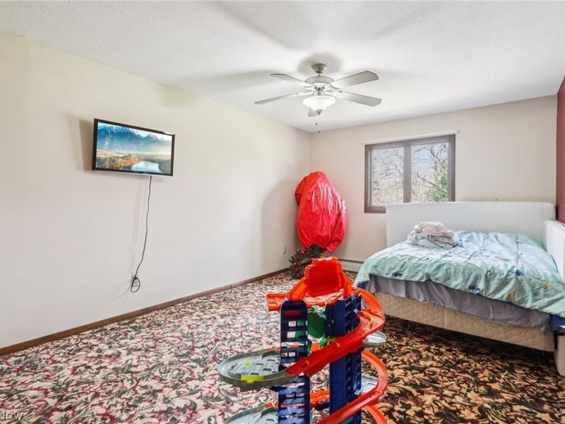 10700 W Ridge Road, Carlisle, OH 44035 Photo 27