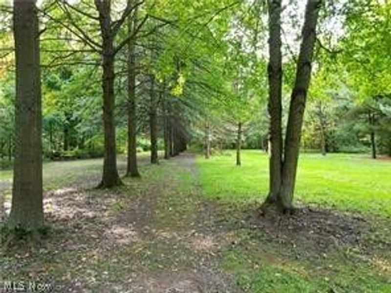 10700 W Ridge Road, Elyria, OH 44035 Photo 8