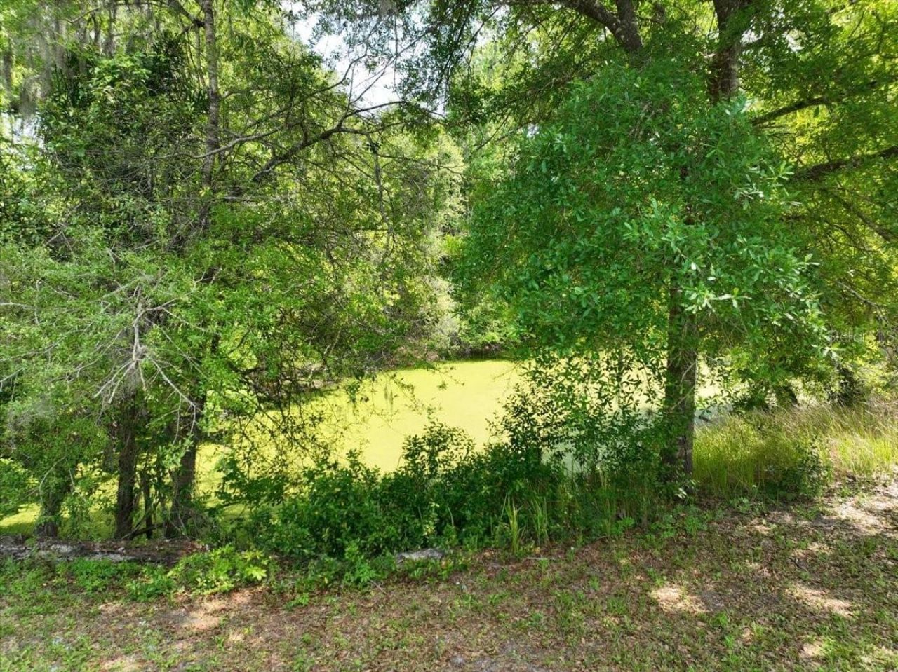 1415 N Wabash Avenue , Lakeland, FL 33805 Photo