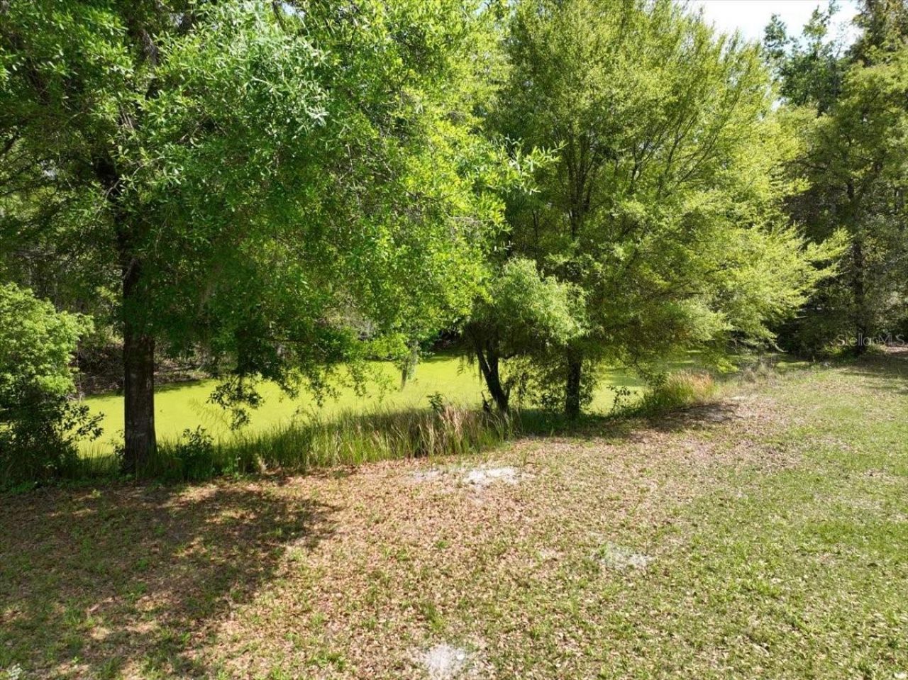 1415 N Wabash Avenue , Lakeland, FL 33805 Photo