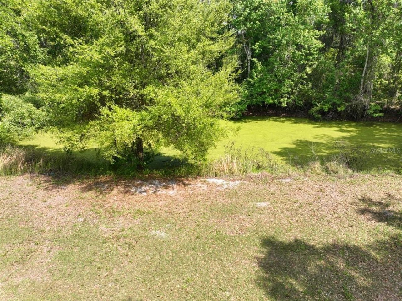 1415 N Wabash Avenue , Lakeland, FL 33805 Photo