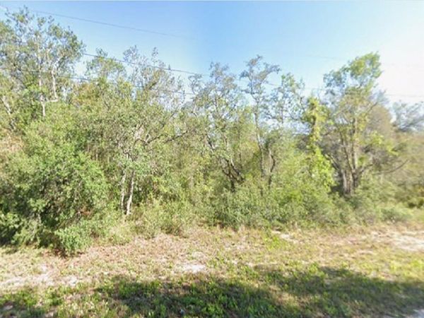 2180 W BONITA ROAD , AVON PARK, FL 33825