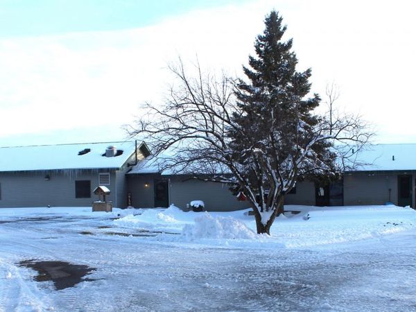 21151 Woodland Trail, Onaway, MI 49765