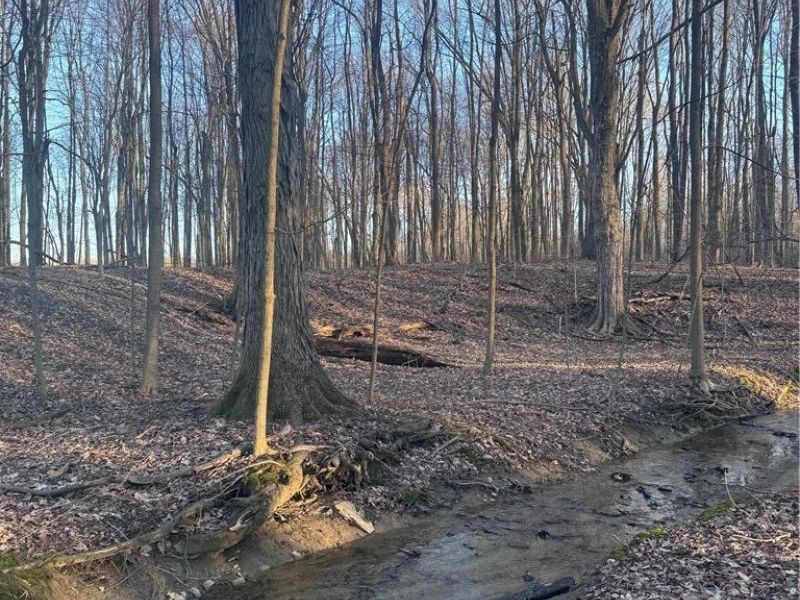 V/L White Road, Rock Creek, OH 44084 Photo 11