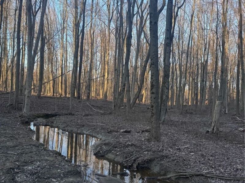 V/L White Road, Rock Creek, OH 44084 Photo 12