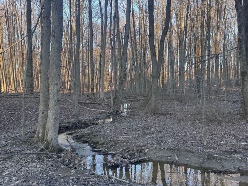 V/L White Road, Rock Creek, OH 44084 Photo 13