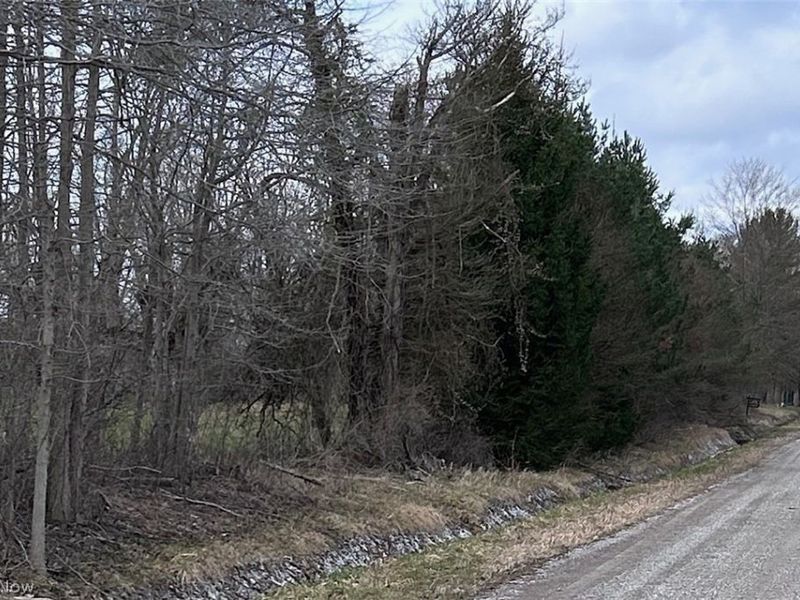 V/L White Road, Rock Creek, OH 44084 Photo 14