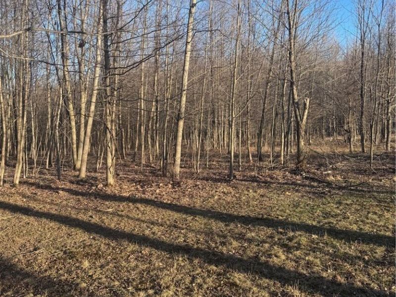 V/L White Road, Rock Creek, OH 44084 Photo 15