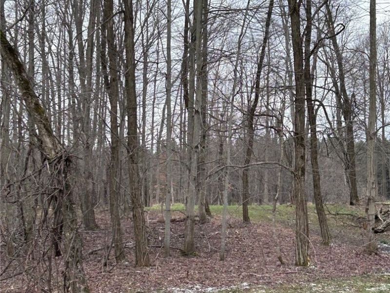 V/L White Road, Rock Creek, OH 44084 Photo 17