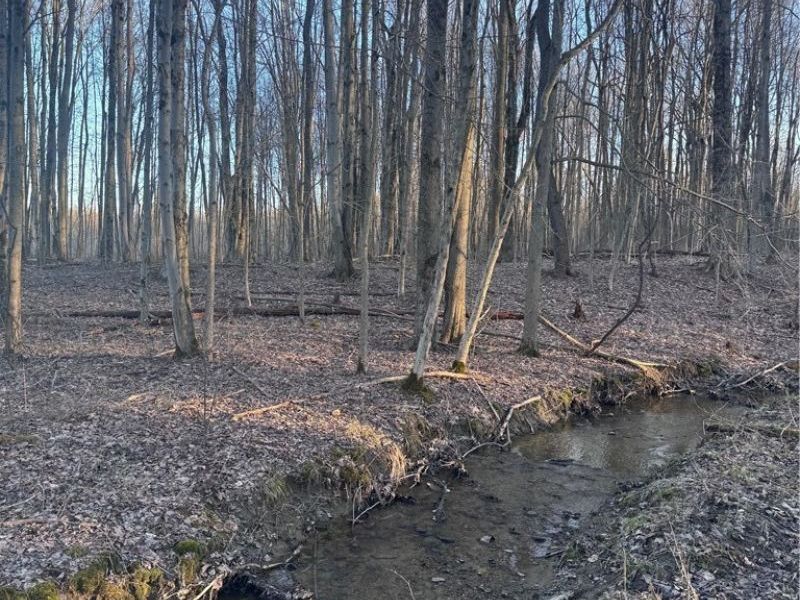 V/L White Road, Rock Creek, OH 44084 Photo 19