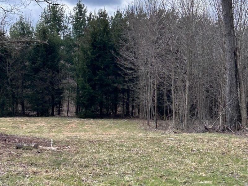 V/L White Road, Rock Creek, OH 44084 Photo 2