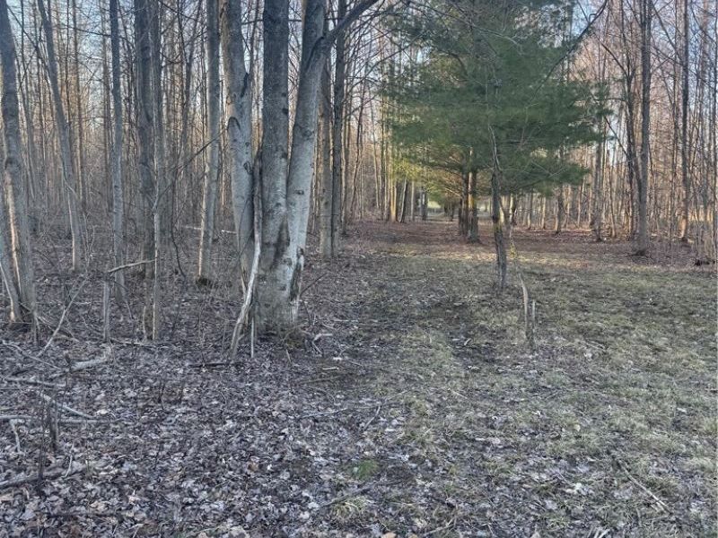 V/L White Road, Rock Creek, OH 44084 Photo 20