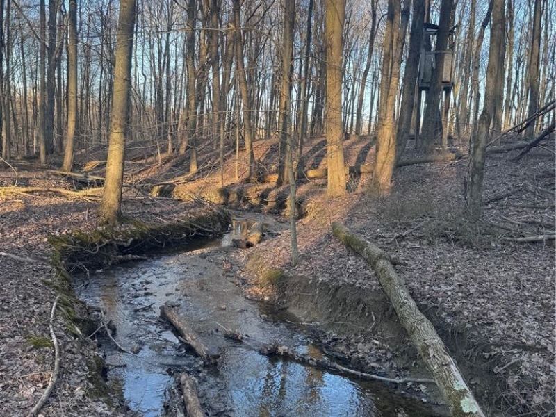 V/L White Road, Rock Creek, OH 44084 Photo 5