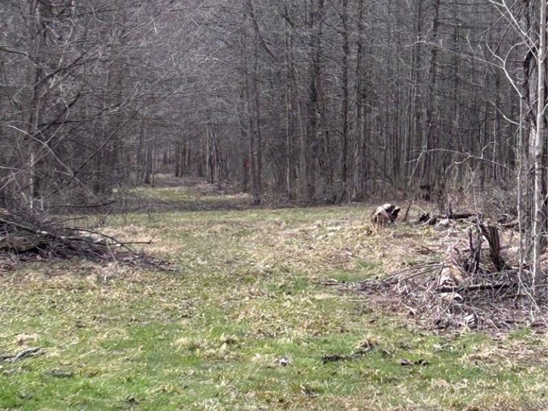 V/L White Road, Rock Creek, OH 44084 Photo 8