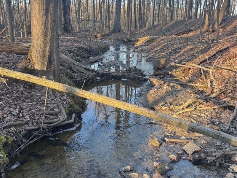 V/L White Road, Rock Creek, OH 44084 Photo 9