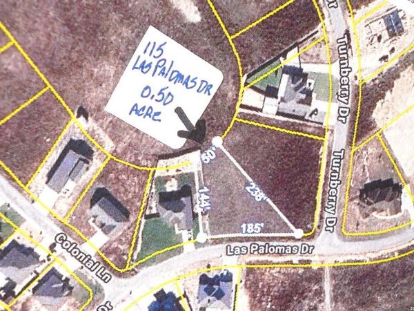 115 Las Palomas Dr, La Vernia, TX 78121