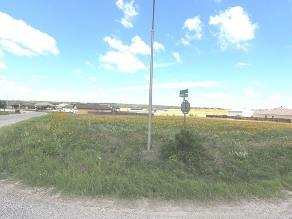 115 Las Palomas Dr, La Vernia, TX 78121