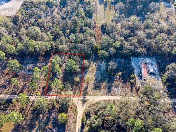 000 NE 134th Ct, Williston, FL 32696