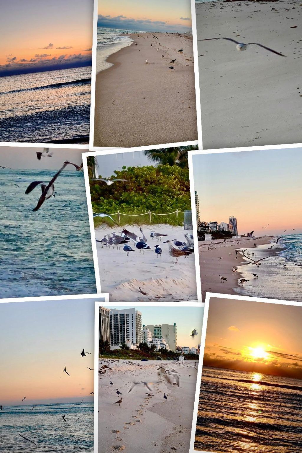 7300 Wayne Avenue, Unit 213, Miami Beach, FL 33141 Photo