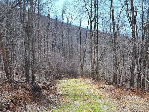 2245 Crowder, Gap Mills, WV 24941