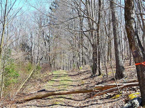 2245 Crowder Rd, Gap Mills, WV 24941