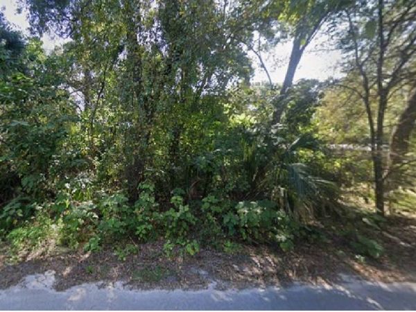 NE 167TH PLACE , CITRA, FL 32113