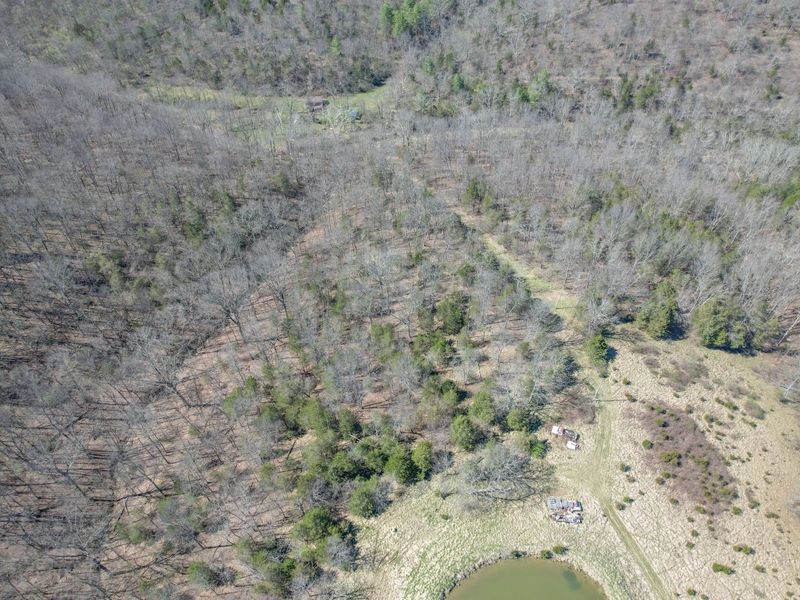 7300 Milford Road, Falmouth, KY 41040 Photo 18
