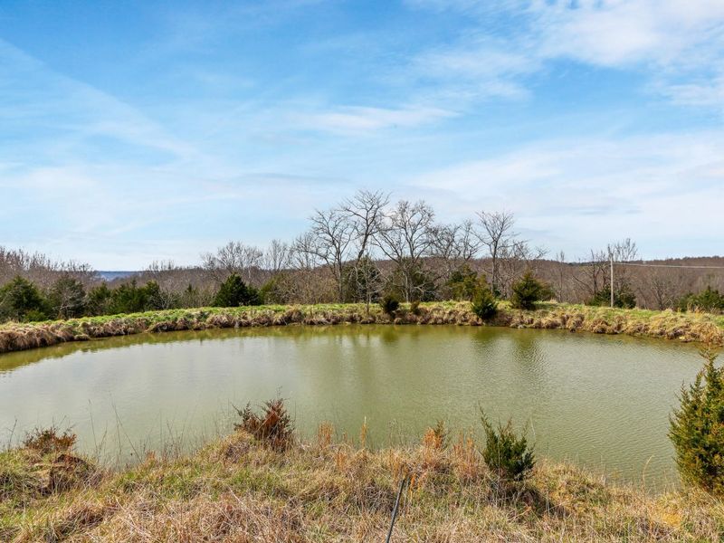 7300 Milford Road, Falmouth, KY 41040 Photo 3