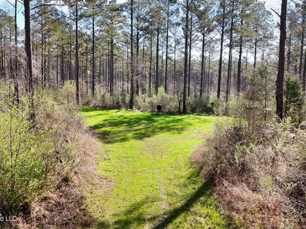 0 N Putnam Road, Pickens, MS 39146