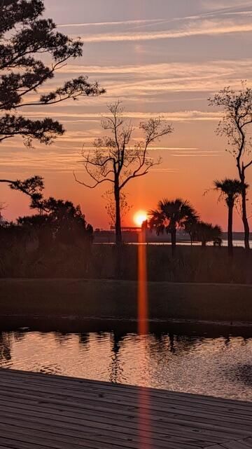 271 Rowans Creek Drive Photo 49