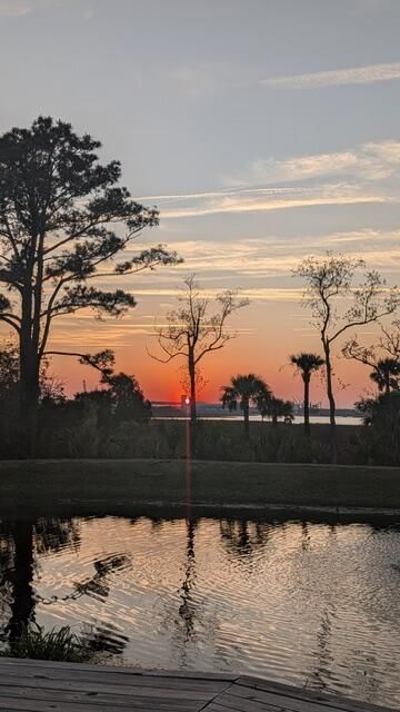 271 Rowans Creek Drive Photo 50