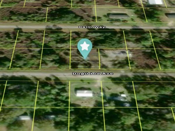 512 DOGWOOD Avenue, Georgetown, FL 32139
