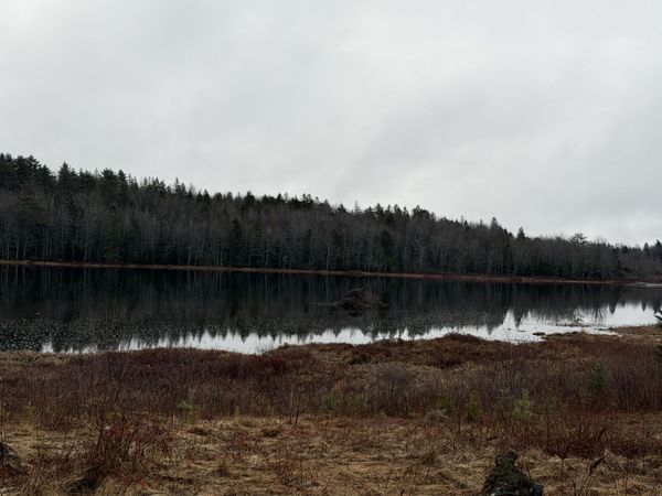 0 Guzzle Road, Gouldsboro, ME 04607