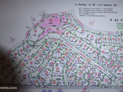 101 Kingston Drive, Lot #17, Austin, NV 89310 Photo
