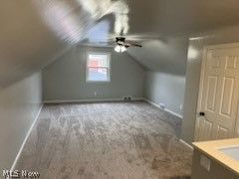 917 S Schenley Avenue, Youngstown, OH 44509 Photo 18