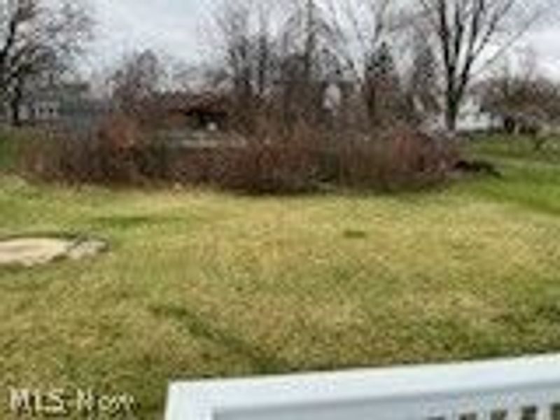 917 S Schenley Avenue, Youngstown, OH 44509 Photo 5