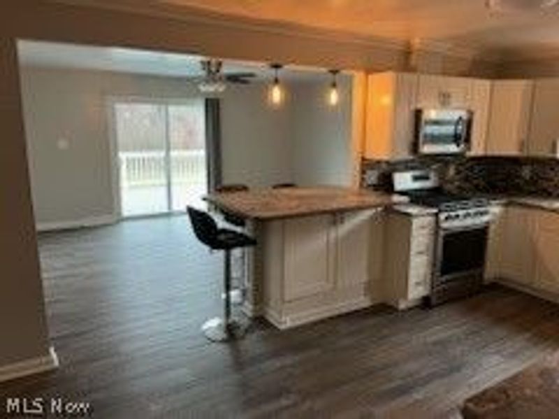 917 S Schenley Avenue, Youngstown, OH 44509 Photo 8