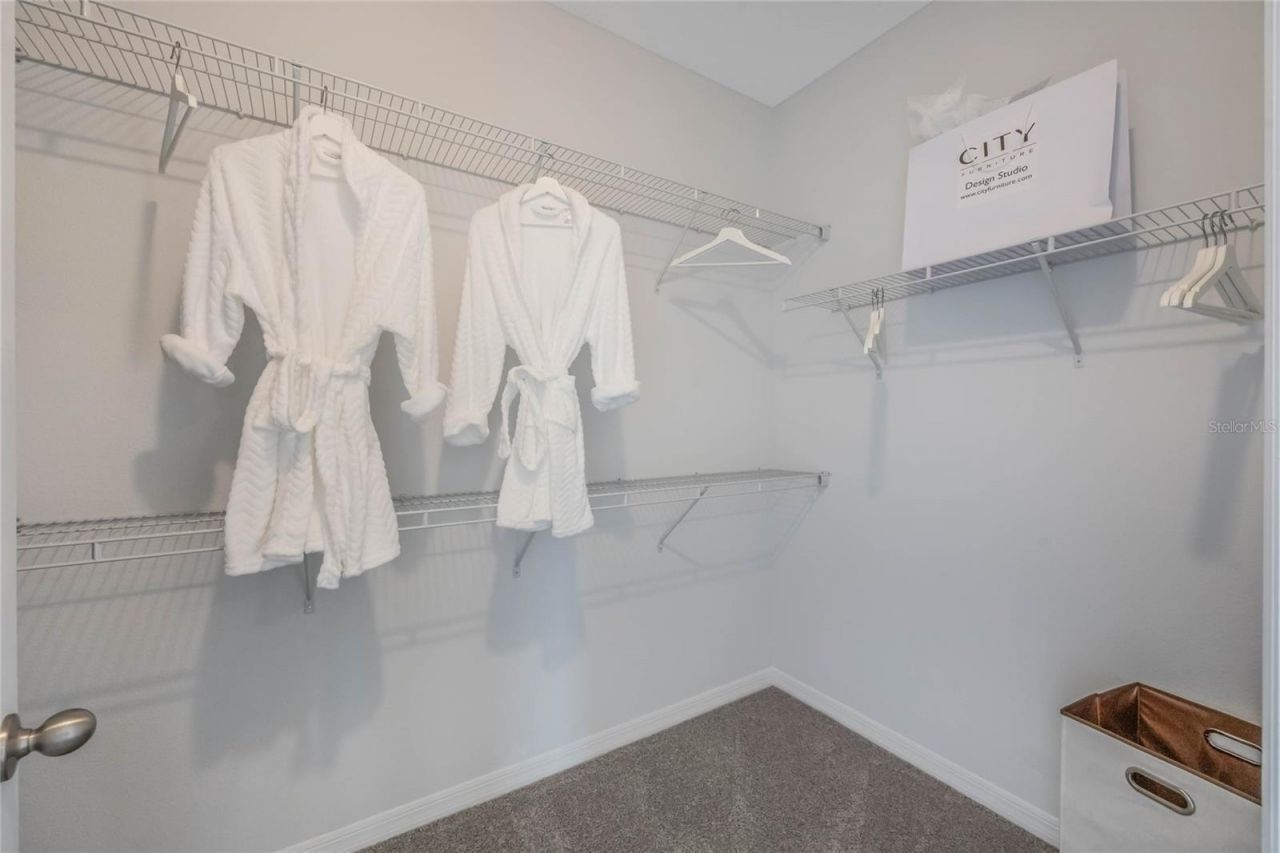 2079 Ashwood Bluff Drive , Ocoee, FL 34761 Photo