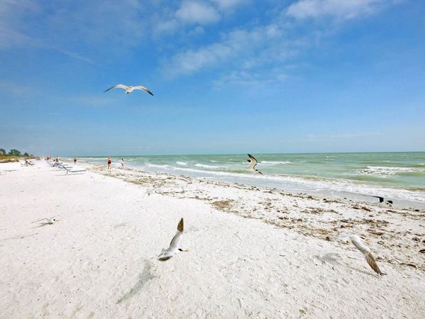 1246 Fulgur St, Unit 202, Sanibel, FL 33957