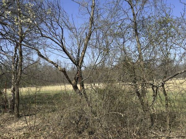 E 232 Road , Wyandotte, OK 74370