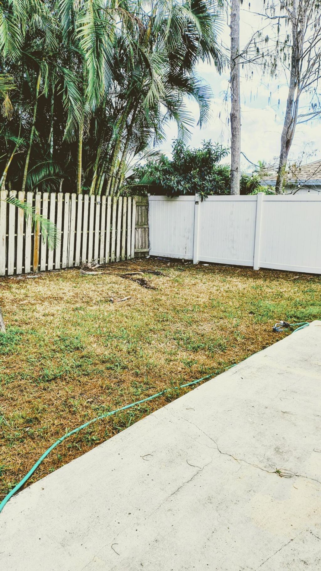 1170 Staghorn Street, Wellington, FL 33414 Photo