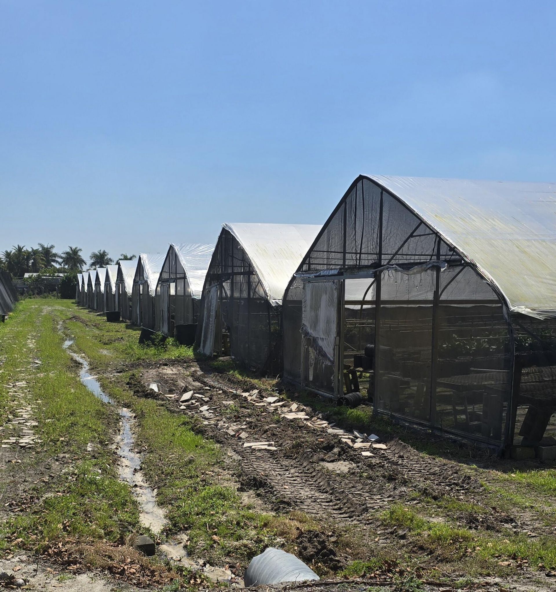 6773 Park Lane W, Lake Worth, FL 33449 Photo