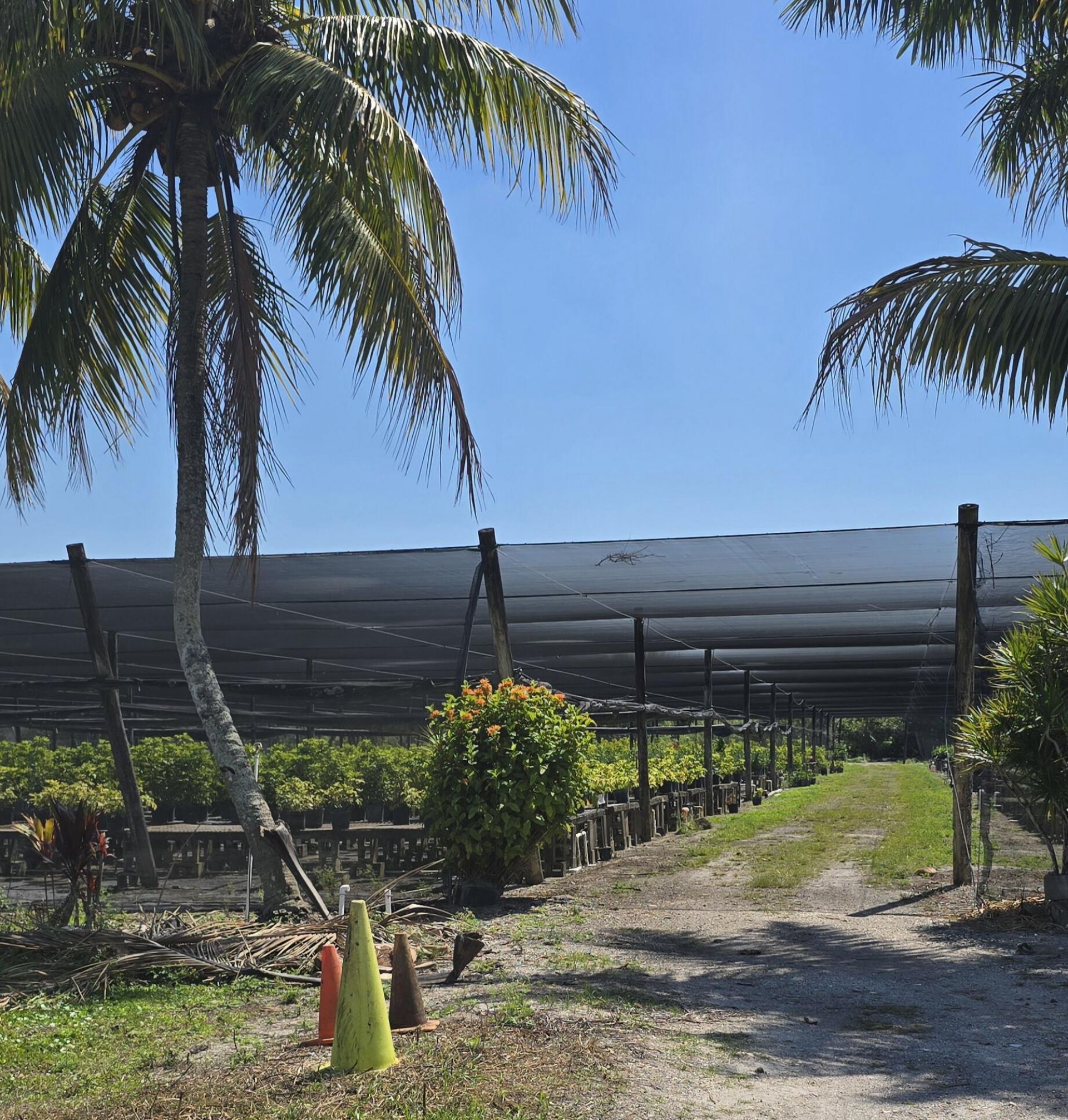 6773 Park Lane W, Lake Worth, FL 33449 Photo