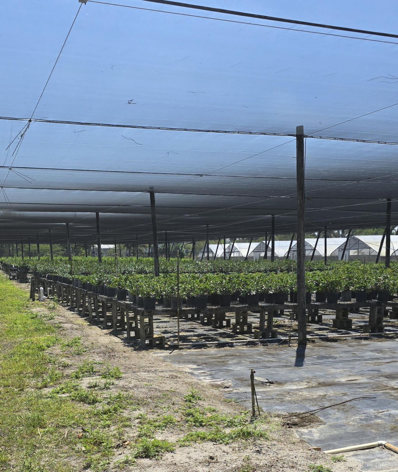 6773 Park Lane W, Lake Worth, FL 33449 Photo